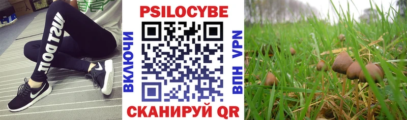 дарк нет формула  Черепаново  Галлюциногенные грибы мухоморы 